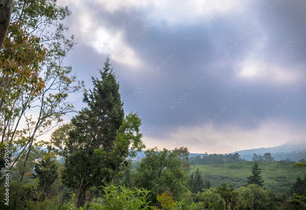 Obraz premium Nature