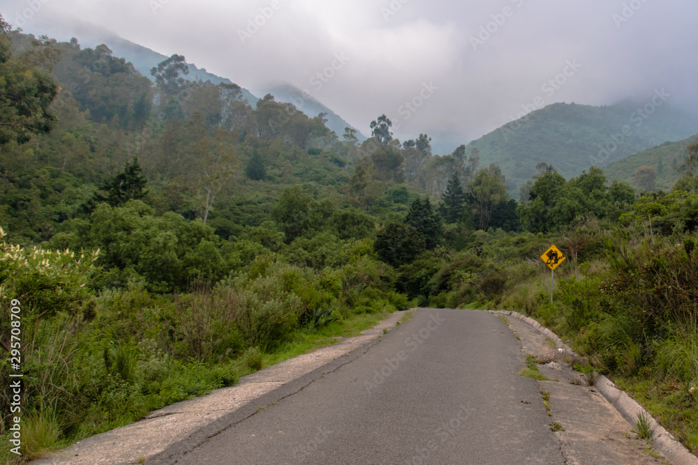 Fototapeta premium WAY TO NATURE