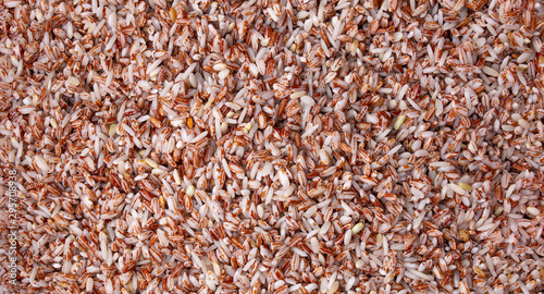 texture of samarkand round grain rice