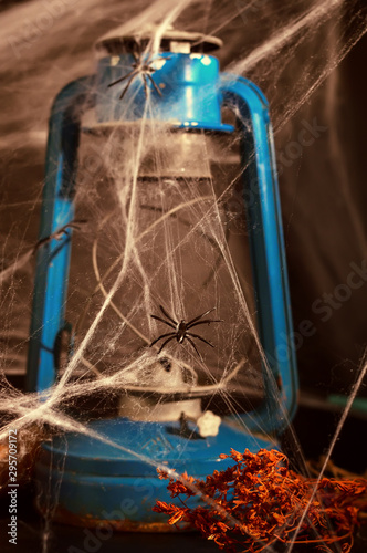 Spider Web on Halloween