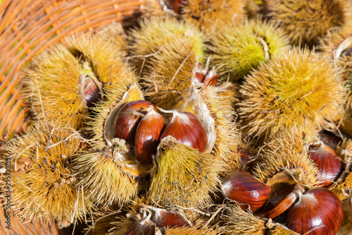 Marroni e castagne con riccio di Castione in cesto