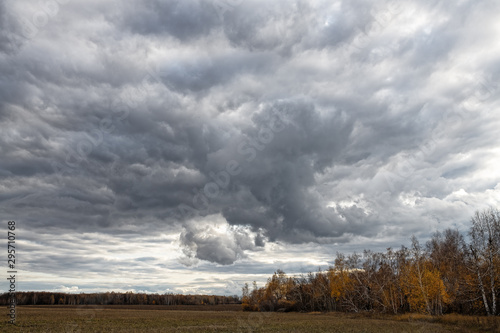 gray clouds in the sky over the autumn forest in Russia