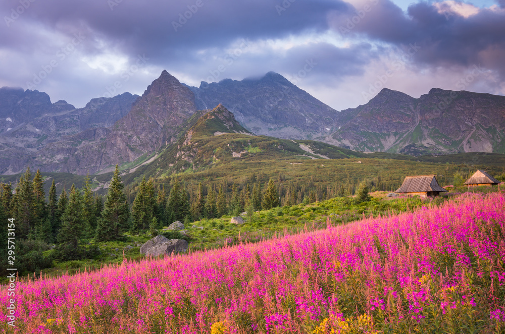 mountain landscape, Tatra mountains panorama, Poland colorful flowers and cottages in Gasienicowa valley (Hala Gasienicowa), summer