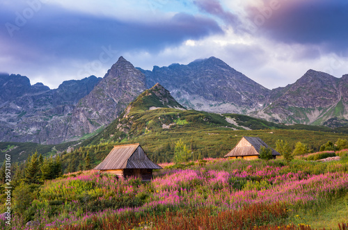 górski krajobraz, panorama Tatr, Polska kolorowe kwiaty i domki w dolinie Gąsienicowej (Hala Gasienicowa), lato