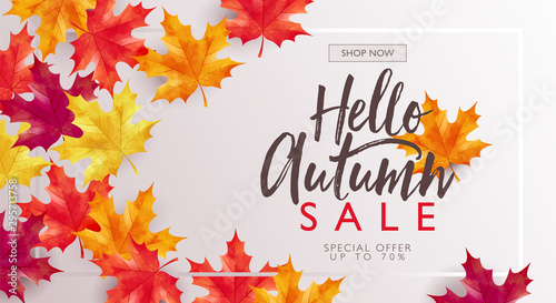 Autumn sale discount marketing design layout. Hello autumn banner concept. Maple theme design with frame on white gradient background. Vector illustration template.