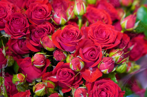 bouquet of red roses as background