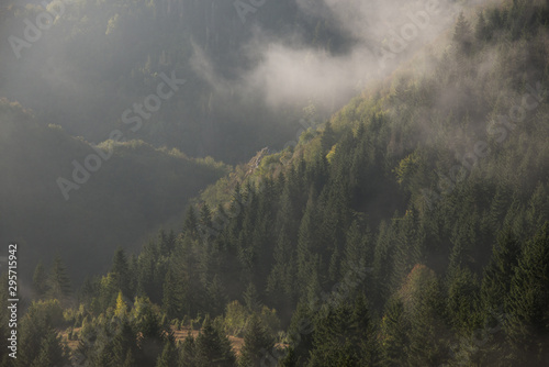 fog in the mountains © Zoran Jesic