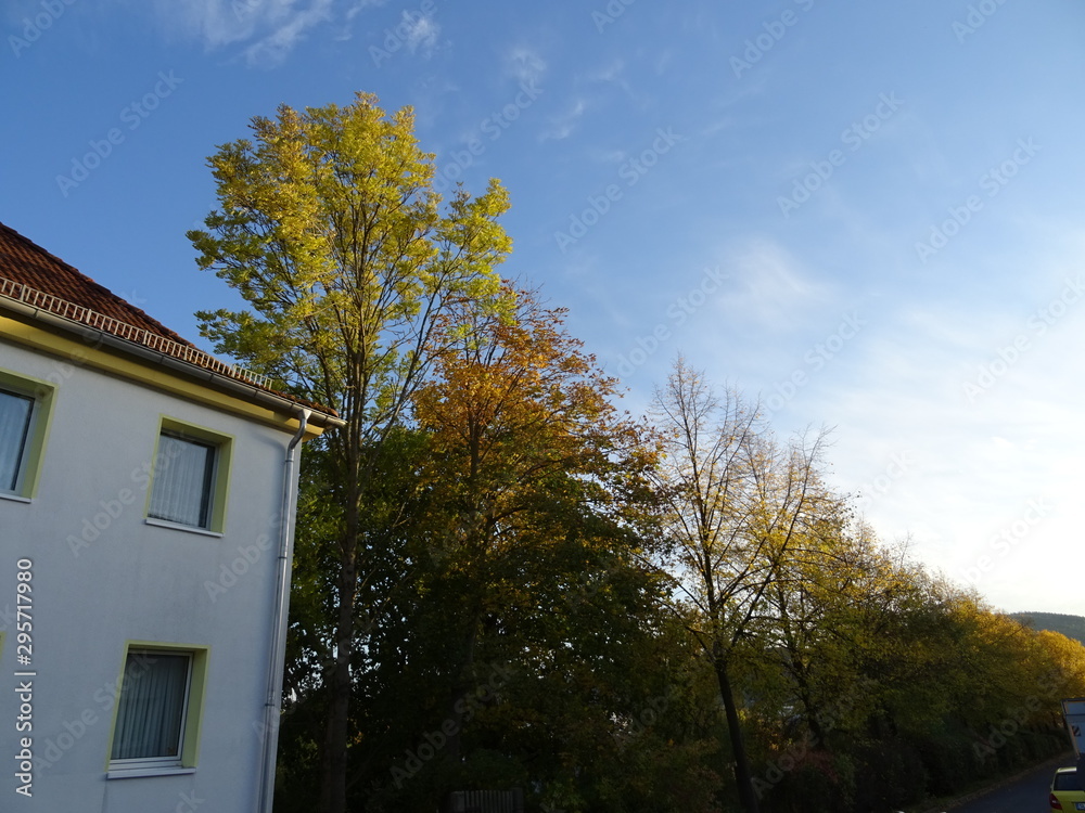 Oktober in Ilmenau