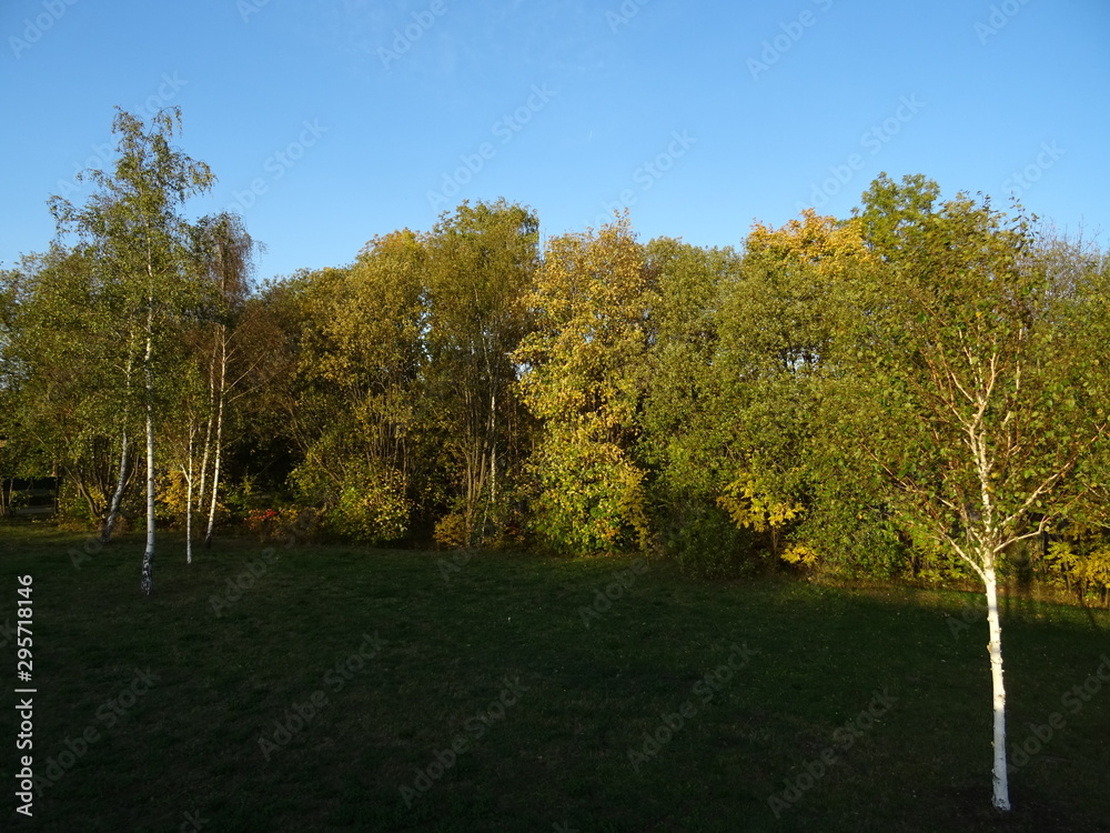 Naklejka premium Oktober in Ilmenau