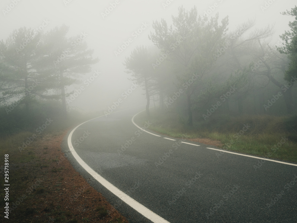Fototapeta premium Forest in autumn morning mist