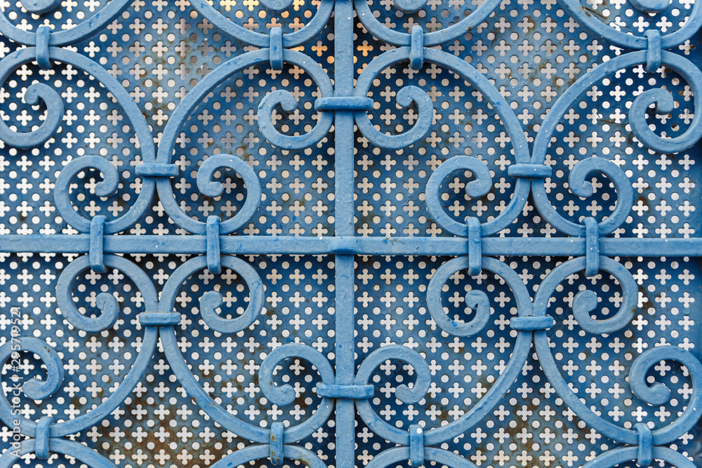 Iron gate with wrought ornament