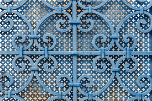 Iron gate with wrought ornament © kulikovan