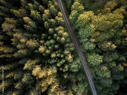 A bird's eye view of a road through a forest in the summer.