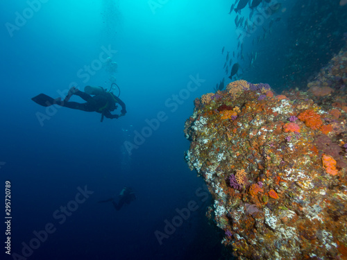 A scuba diver deep down in the ocean