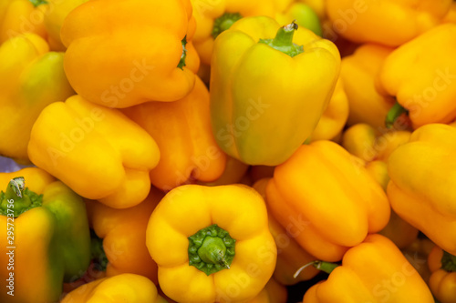 there are orange bell peppers. Lots of sweet pepper for background. Vegetable growing, agriculture. All fresh orange bell pepper background in the market for sale.