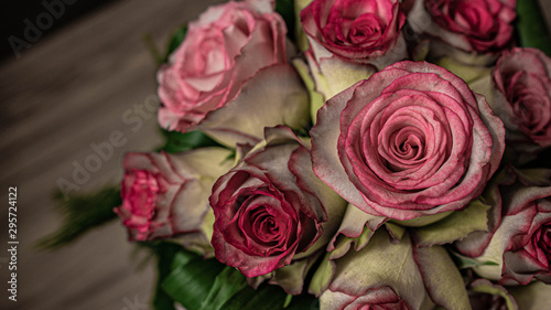 pink flowers