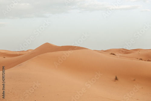 Fototapeta Naklejka Na Ścianę i Meble -  Deserto do Saara, Marrocos