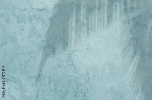abstract background textuer of shadows exotic leaf on a concrete blue wall