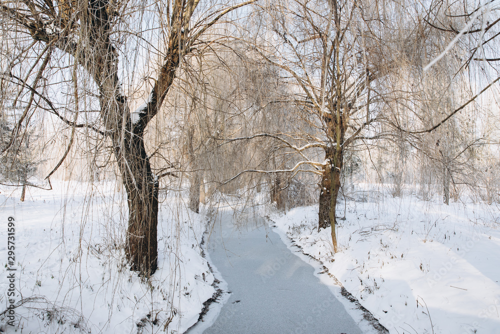 Winter landscape with the river and forest in frosty day Winter landscape with the river and forest in frosty day