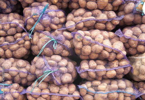 bagged fresh potatoes on an organic farm