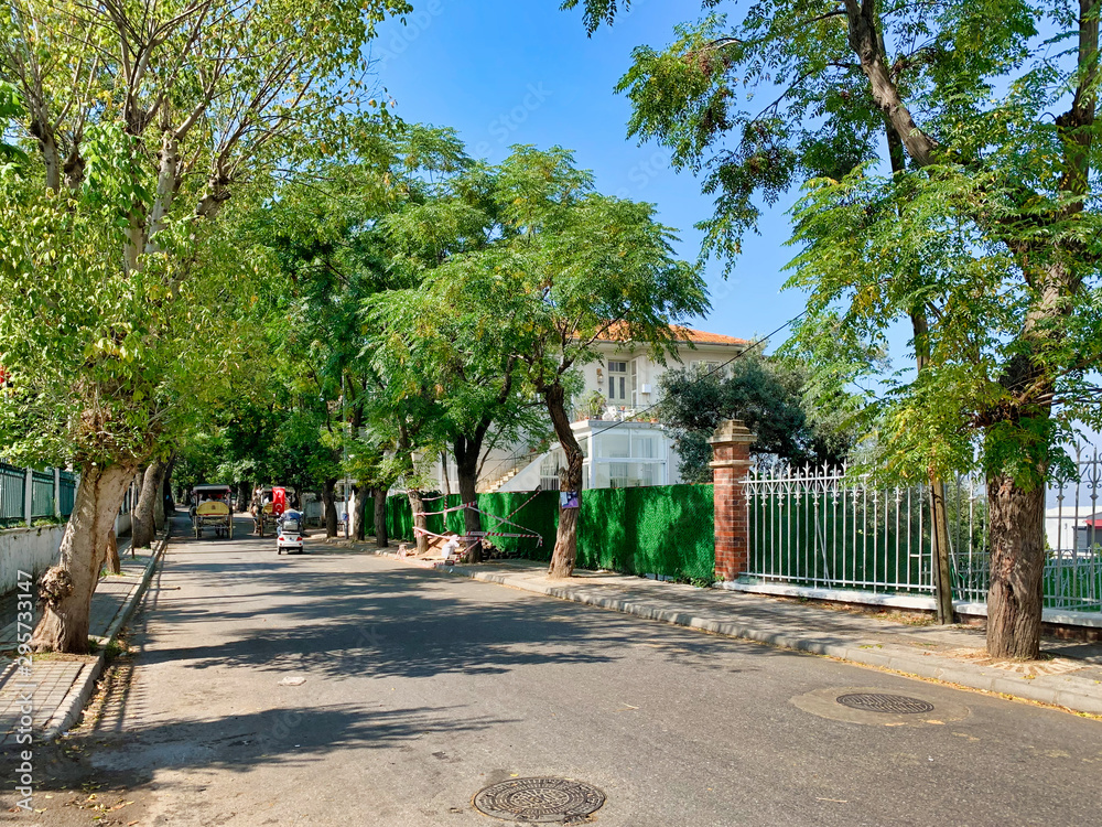 Istanbul, Turkey - September 25, 2019: Walk along the historical streets of Istanbul. Street green spaces and types of residential buildings