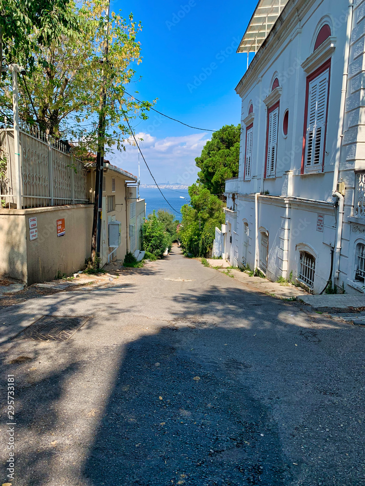 Istanbul, Turkey - September 25, 2019: Walk along the historical streets of Istanbul. Street green spaces and types of residential buildings