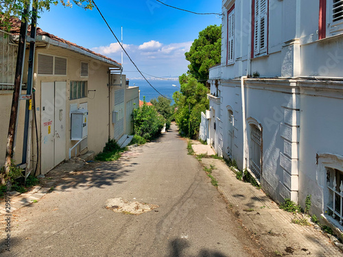 Obraz na płótnie Istanbul, Turkey - September 25, 2019: Walk along the historical streets of Istanbul. Street green spaces and types of residential buildings w salonie