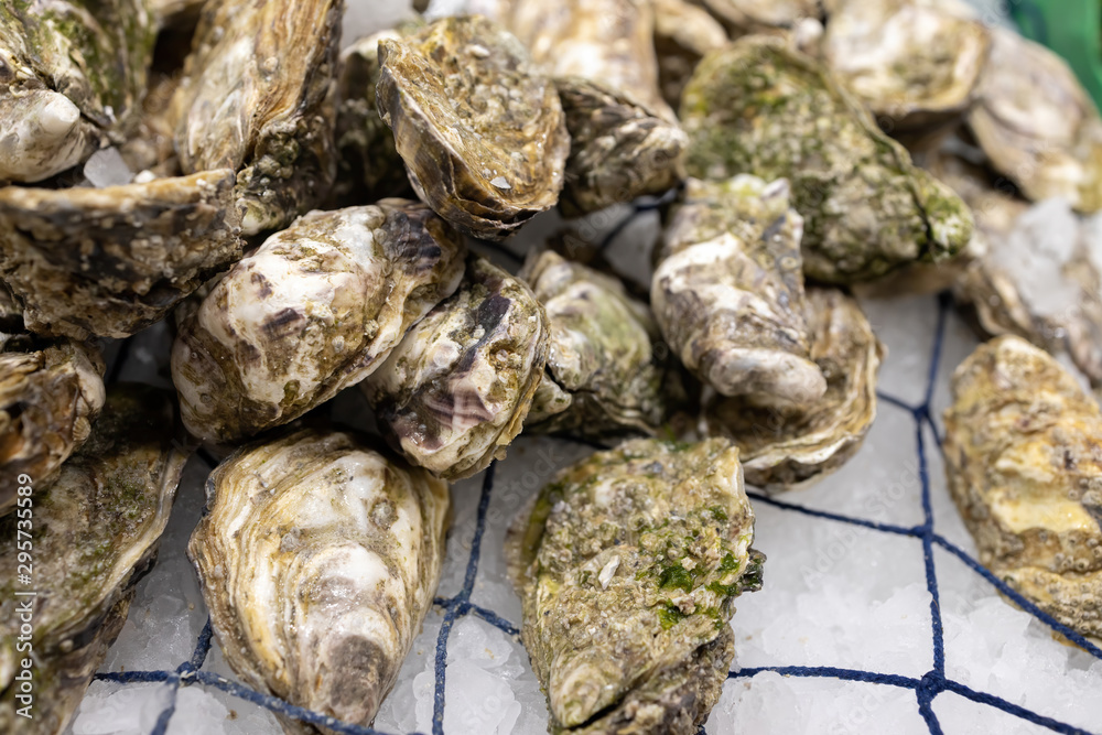 Seafood in a market in town Palamos in Spain, species oyster Seafood in a market in town Palamos in Spain, species oyster