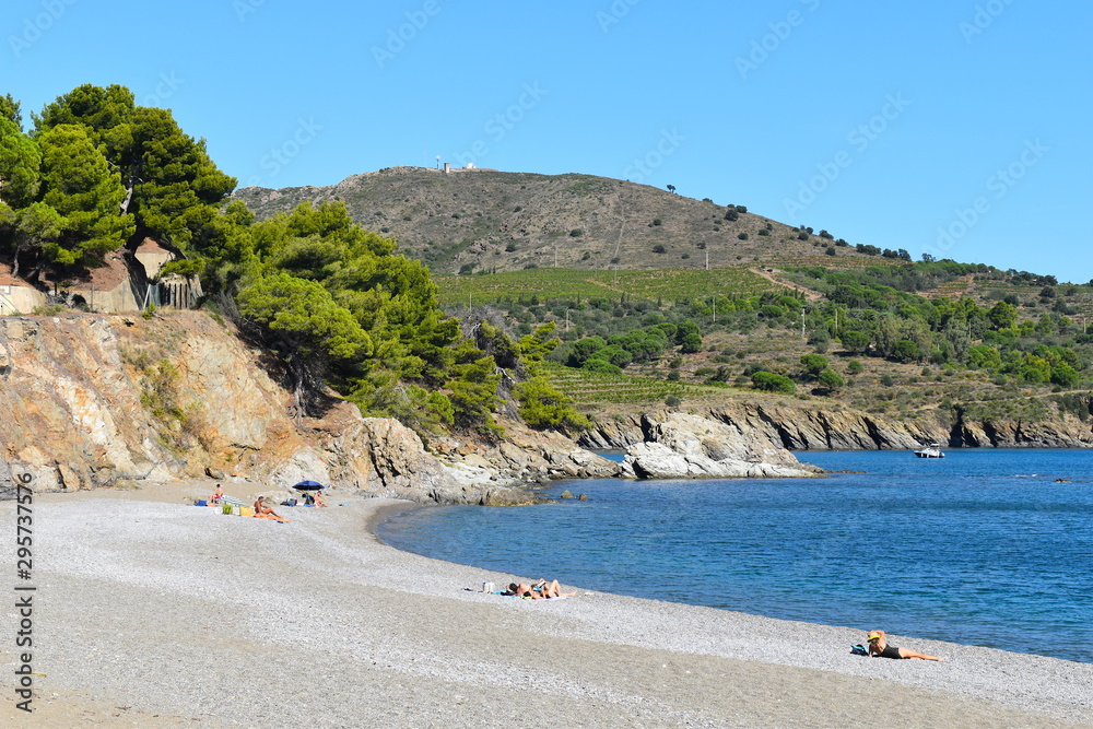 Holidaymakers on a gorgeous beach in south of France on a bright sunny day. Cliffs, pine trees, vineyards on a hill and a boat at the background.