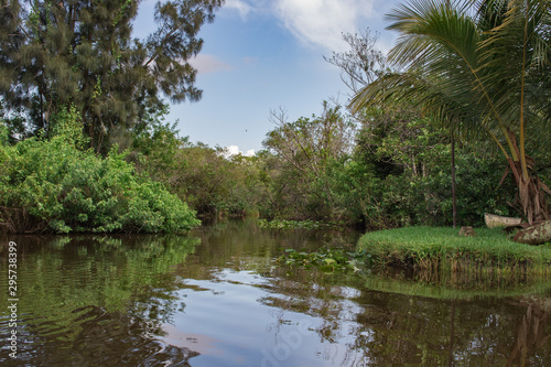 lake in forest