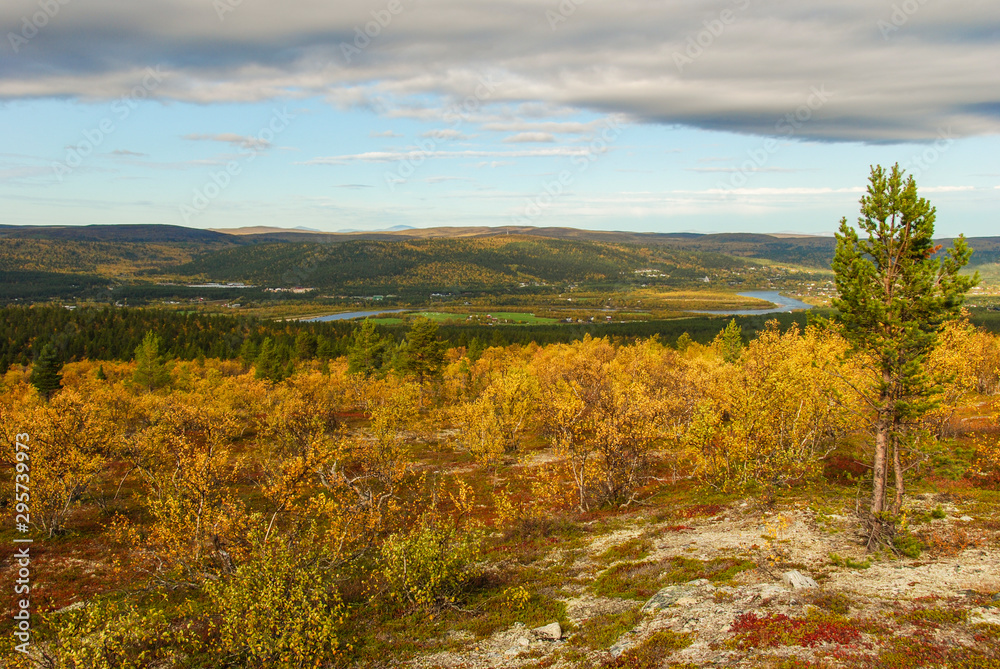 Colorful autumn in northern Norway, Finnmark region 