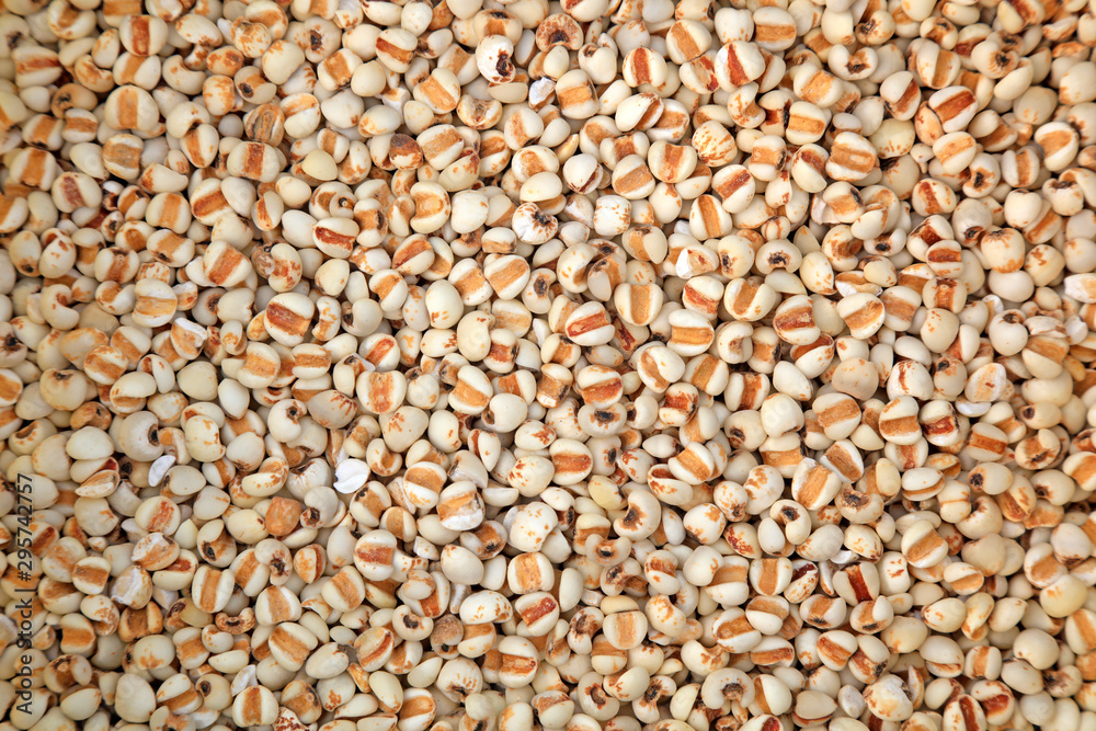 Coix seed Coix seed