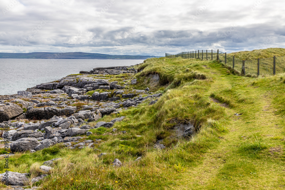 Trail with Rocks and field in Inisheer Island with burren in background