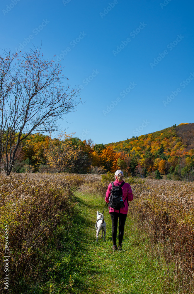 Obraz premium woman with dog enjoying the fall colors in the North country NY