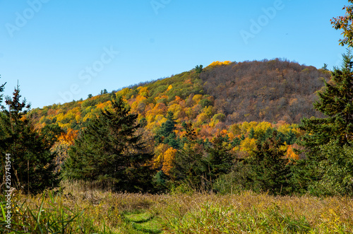 Fototapeta Naklejka Na Ścianę i Meble -  Fall colors in the North country NY