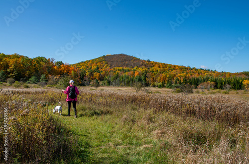 woman with dog enjoying the fall colors in the North country NY © bhamms