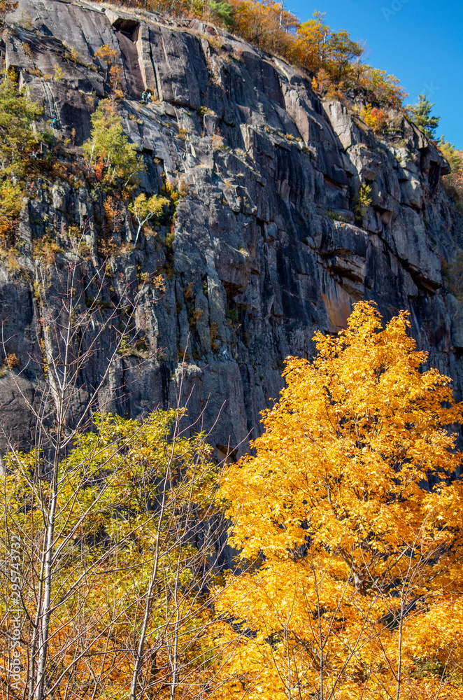 Fall folaige in the north country ny Fall folaige in the north country ny