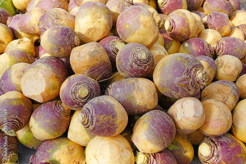 Purple and white rutabaga swede root vegetable at a farmers market in the fall