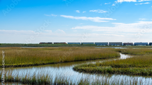 Marshland train heading to who knows where ocean side water