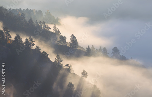 Morning in the mountains, fog in the valley and forest on the slope