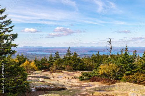 Pine trees and small plants along a rocky path at the summit of Cadillac Mountain