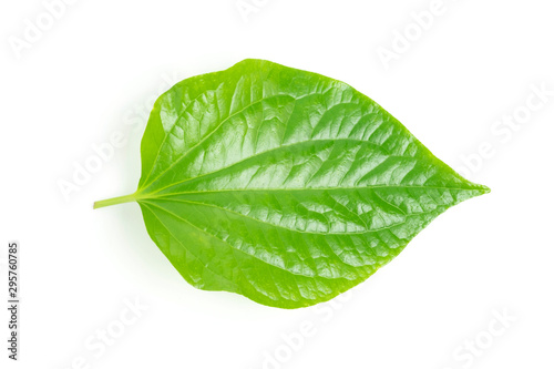 Piper betle leaf isolate on white background, Properties as herbs to help treat diseases. photo