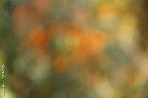 Abstract yellow colors. Horizontal color abstract background. Colorful texture Background texture. Blur image of yellow light. Blurred lights on orange with green background. Blurred image