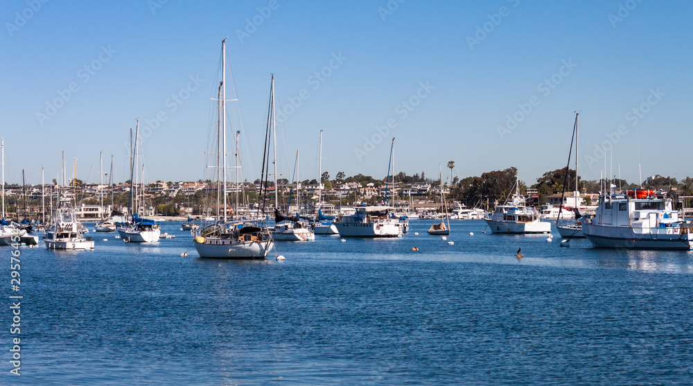 boats moored in crowded Newport Beach harbor with city landscape background in California