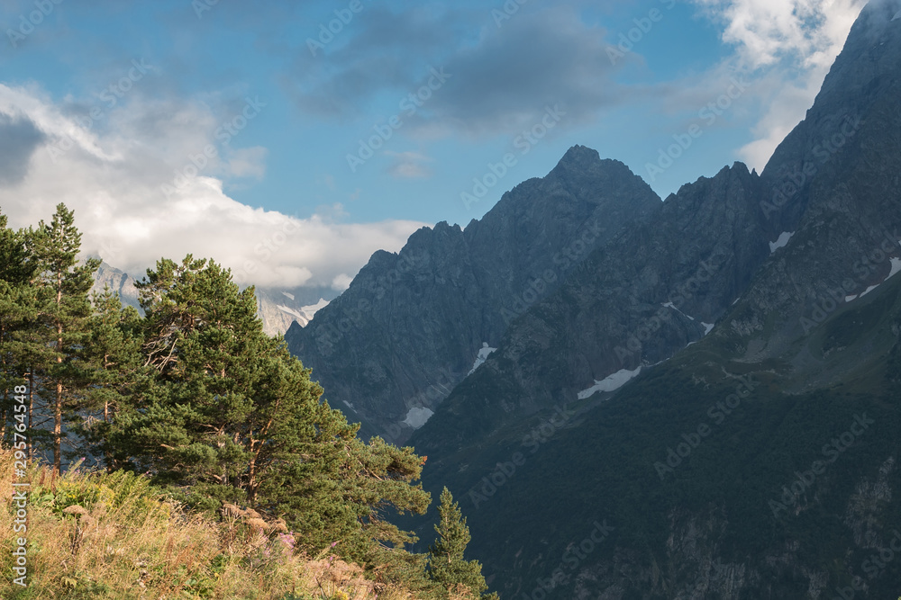 Obraz premium Panorama of mountains and forest scene in national park of Dombay, Russia