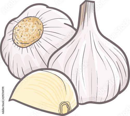 Funny and cute group of garlic for your seasoning cook