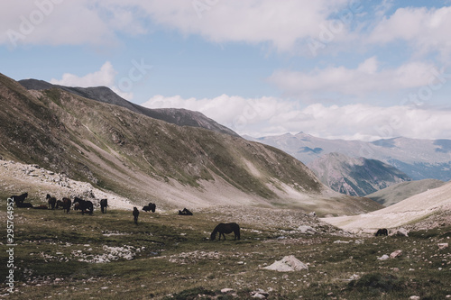 Close up view mountains scenes in national park Dombai, Caucasus