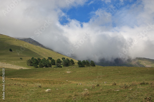 Panorama view of forest and mountains scenes in national park Dombay © TravelFlow