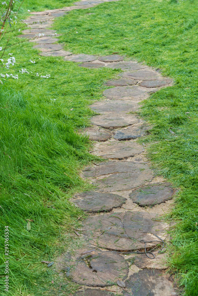 Path in Garden. Natural background