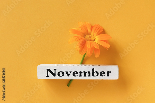 One orange calendula flower and calendar autumn month November on yellow background. Top view Copy space Flat lay Minimal style. Concept Hello November Template for your design, greeting card